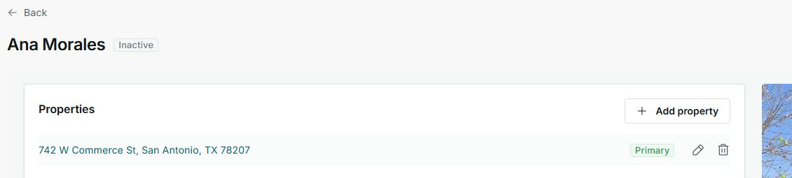 Customer detail Properties section with a primary address in IMPULSO